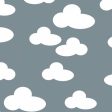 Clouds Fabric by the yard For Cheap