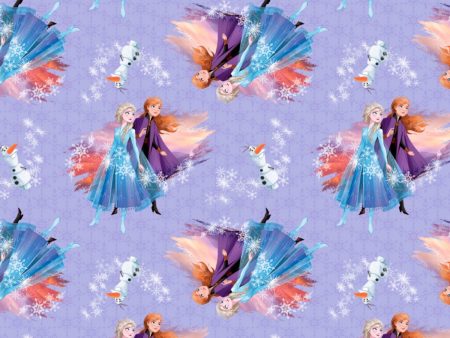 Disney Frozen Destiny Awaits Fabric by the yard For Cheap