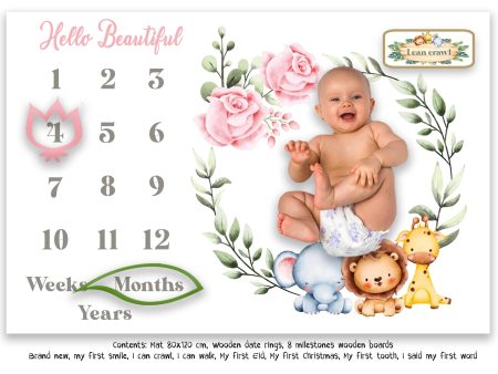 Baby milestone pictures mat set (Flowers) Supply