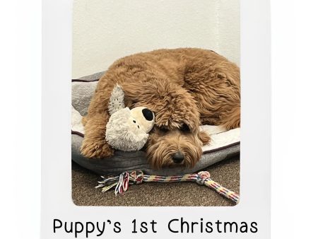 Puppy Dog Picture Frame Personalized Ornament Online now