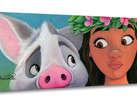 Disney  Moana s Sidekick  Online now