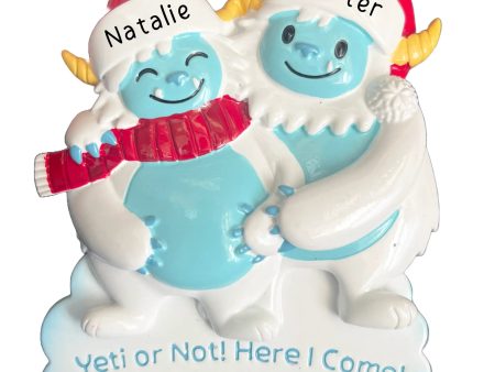 We re Expecting Yeti Couple Ornament For Discount