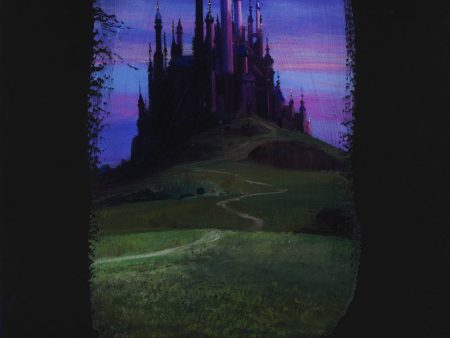 Disney  Sleeping Beauty Castle  Hot on Sale