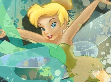 Disney  Tinker Bell  For Cheap