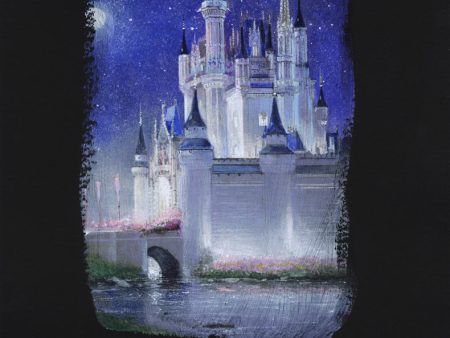 Disney  Cinderella Castle  on Sale