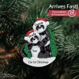 Panda Family of 2 Christmas Ornament Fashion