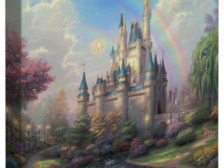 A New Day at the Cinderella Castle  For Discount