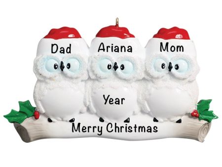 Owl Family of 3 Christmas Ornament on Sale