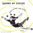 GUIDED BY VOICES - SCALPING THE GURU on Sale